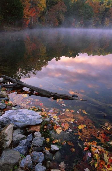 PA, Pocono Mountains Autumn sunrise on lake